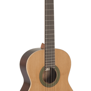 Paco Castillo 201 (mate)