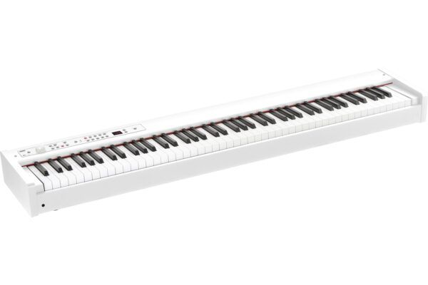 ORGANO / STAGE PIANO PROFESIONAL El estilizado piano de escenario D1